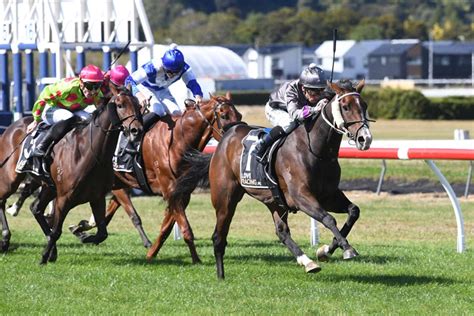 fairview racing results|fairview racing today.